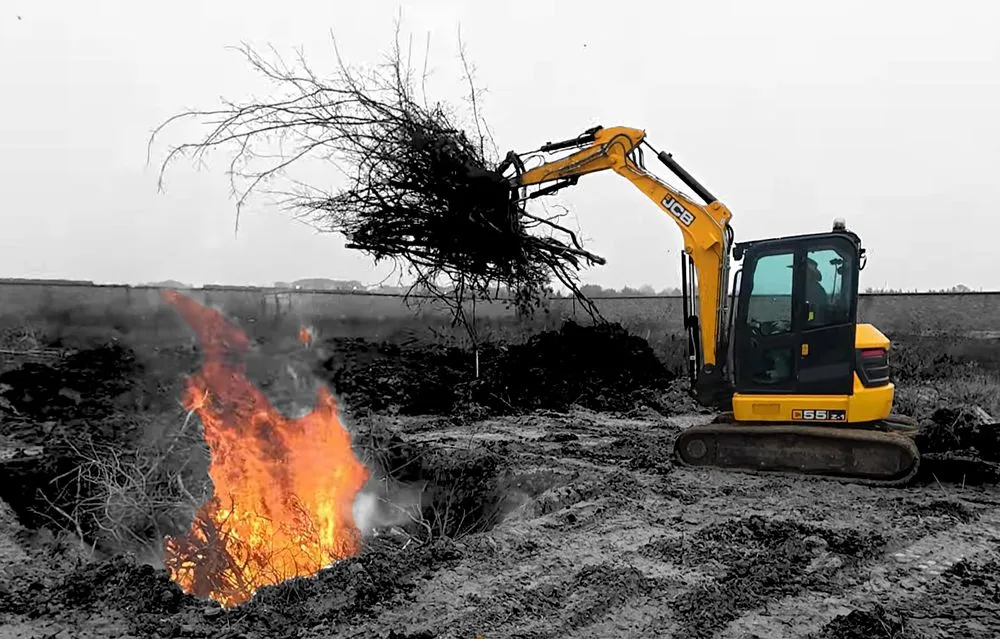 Top-rated outdoor landscaping with custom design across Frisco, TX - D5 Plus