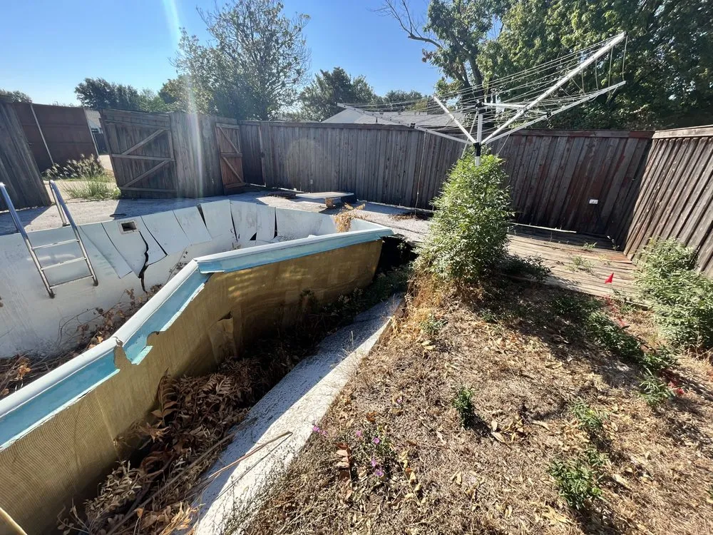 Top-rated yard cleanup service in Frisco, TX - D5 Plus