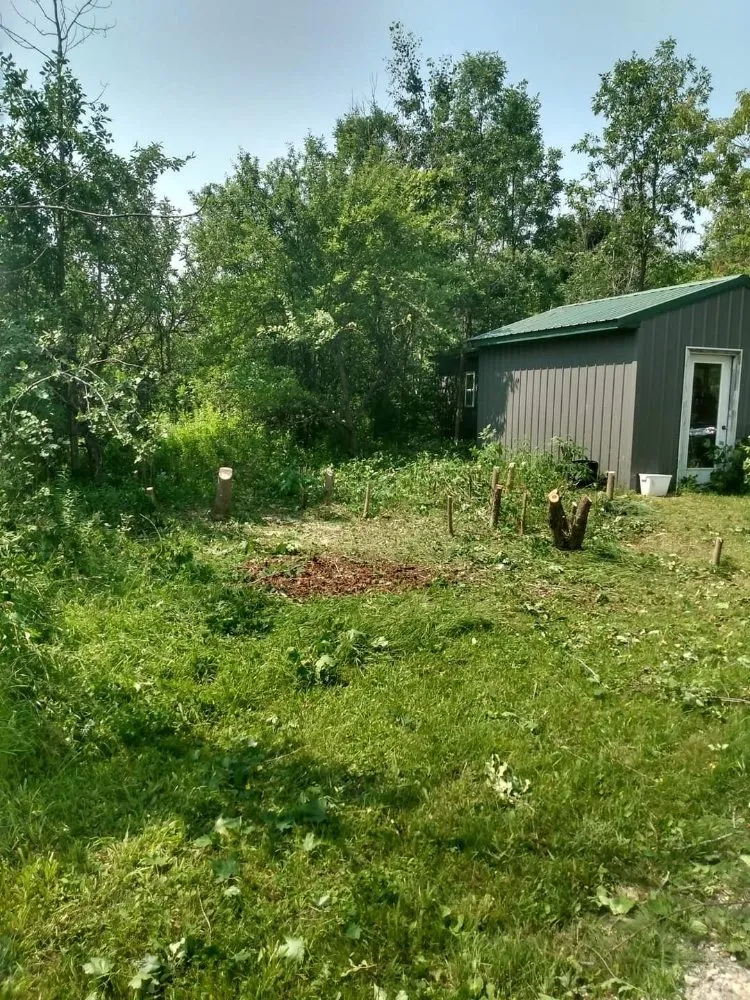 Custom landscape installation in Cheboygan, MI - D6 Lawncare