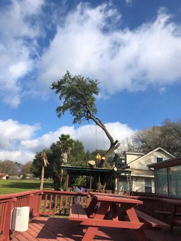 Professional yard maintenance for outdoor upgrades across Willis, TX - D7 Tree Service and Landscaping