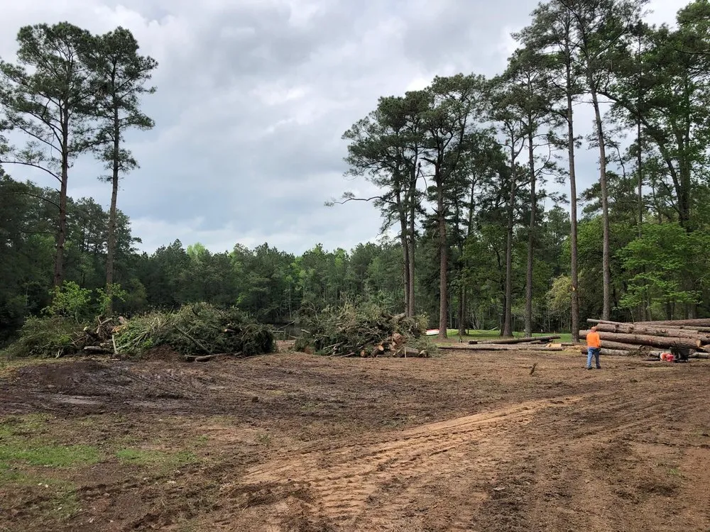 Reliable yard cleanup service with custom design in Willis, TX by D7 Tree Service and Landscaping