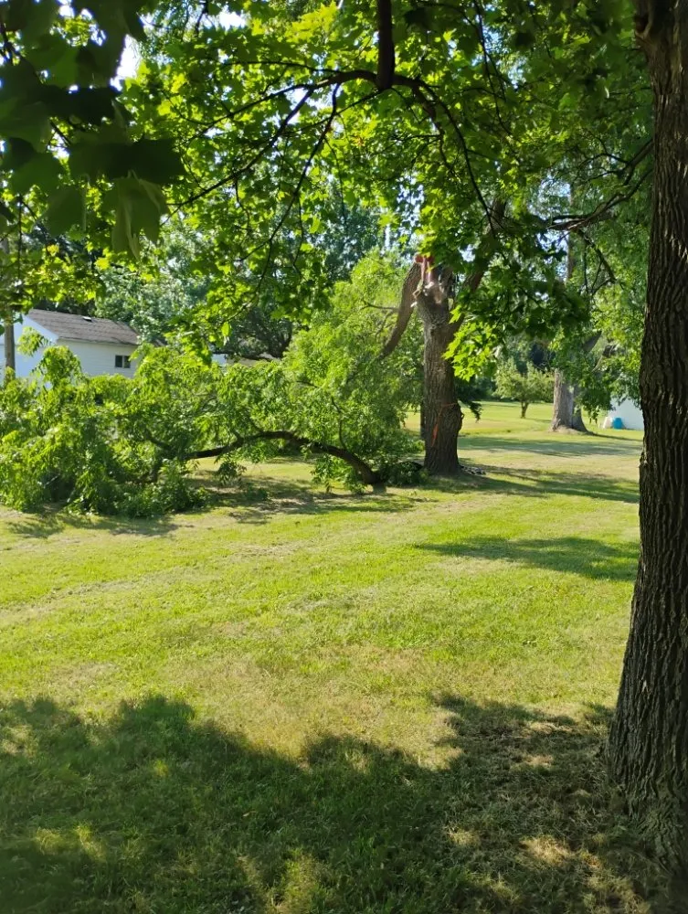 Trusted landscape design for outdoor upgrades across Lockport, NY - Da Boss Enterprises