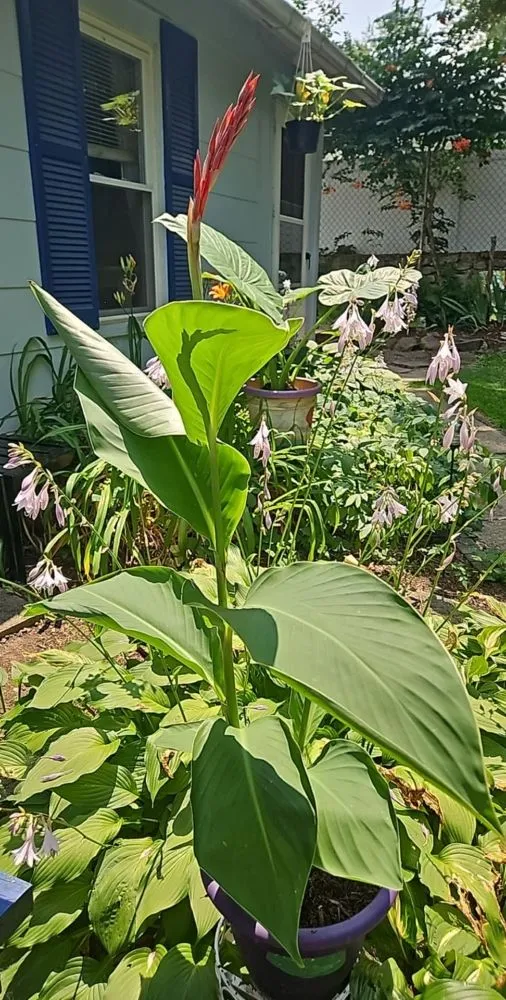 Top-rated lawn care service with custom design in Lockport, NY by Da Boss Enterprises