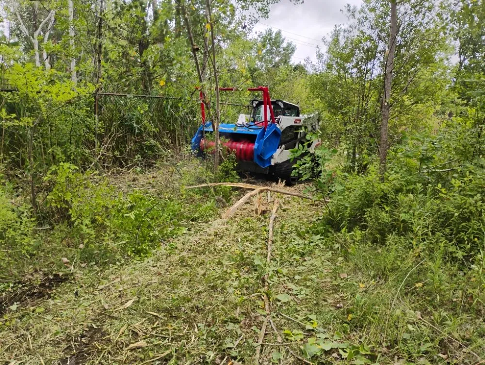 Trusted lawn care service in Lockport, NY - Da Boss Enterprises