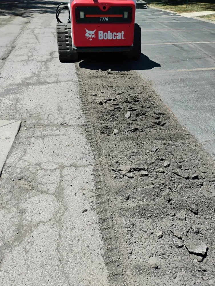 Top-rated yard cleanup service for residential properties in Lockport, NY by Da Boss Enterprises