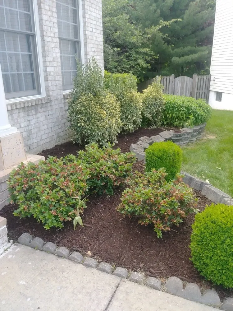 Local landscape installation for year-round maintenance in Sterling, VA by D&A Brothers