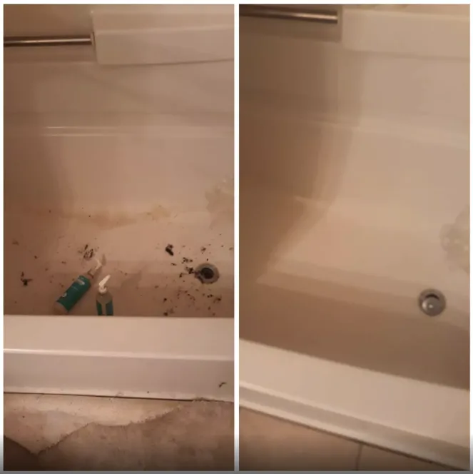 Affordable landscaping services experts serving Indianapolis, IN - D&A General Services