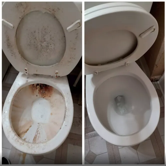 Top-rated landscape installation in Indianapolis, IN by D&A General Services