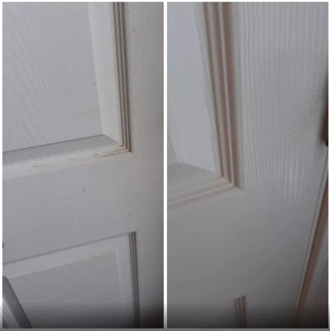 Reliable lawn care service for outdoor upgrades across Indianapolis, IN - D&A General Services