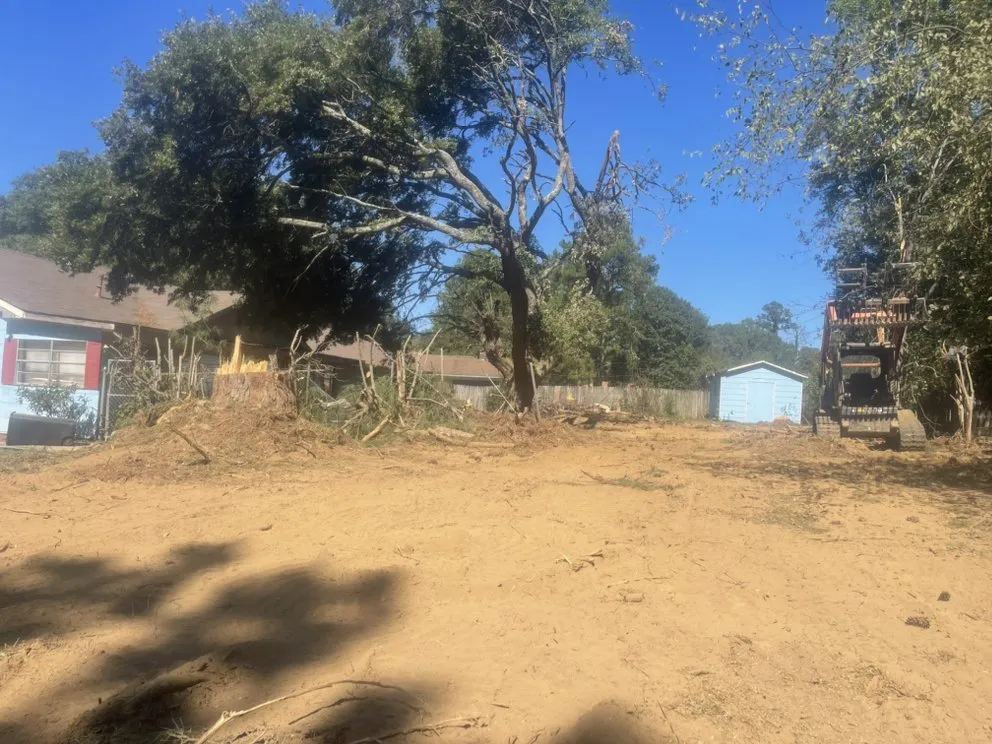 Local yard maintenance experts serving Jackson, MS - Da Grass king