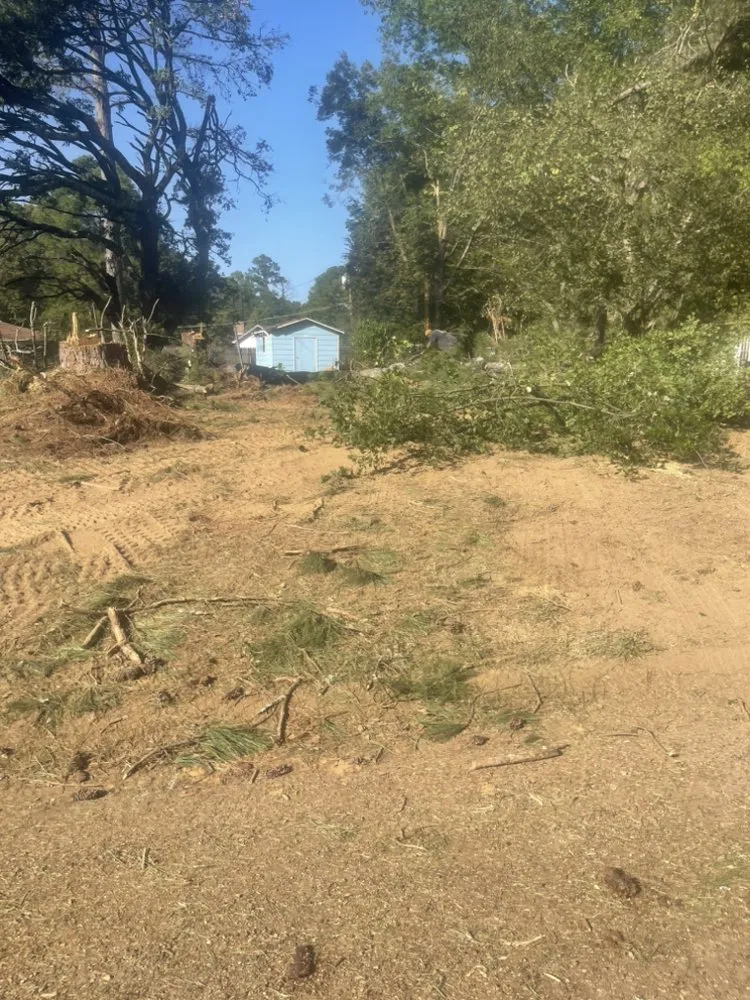 Trusted lawn care service in Jackson, MS by Da Grass king