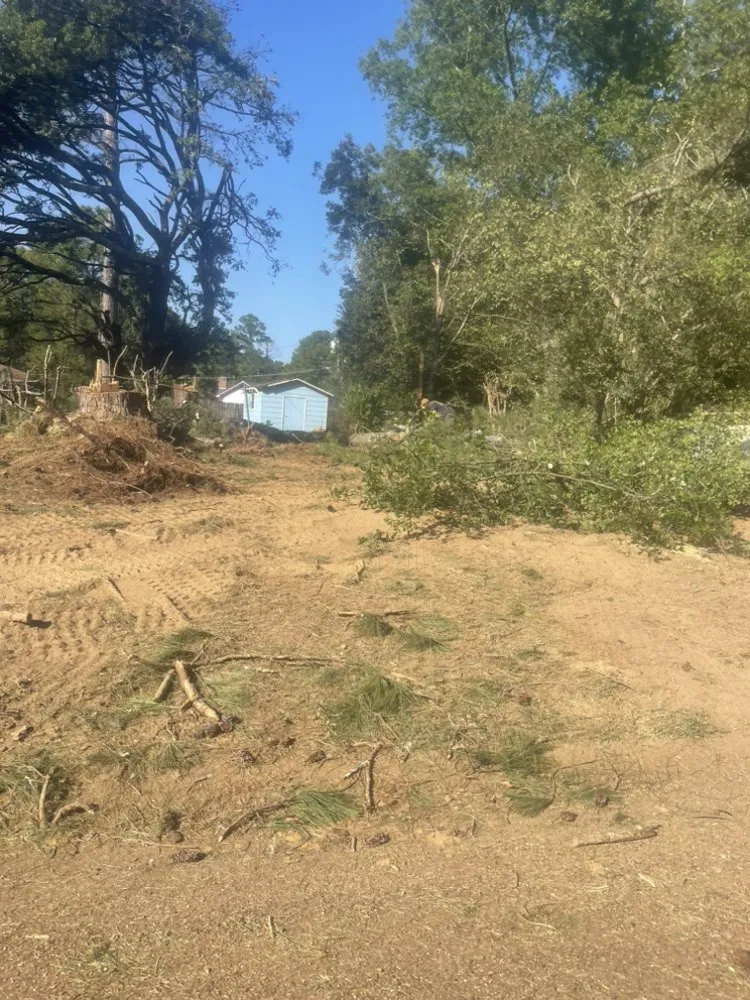 Expert yard cleanup service in Jackson, MS - Da Grass king