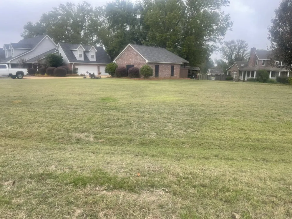 Custom lawn care service experts serving Jackson, MS - Da Grass king