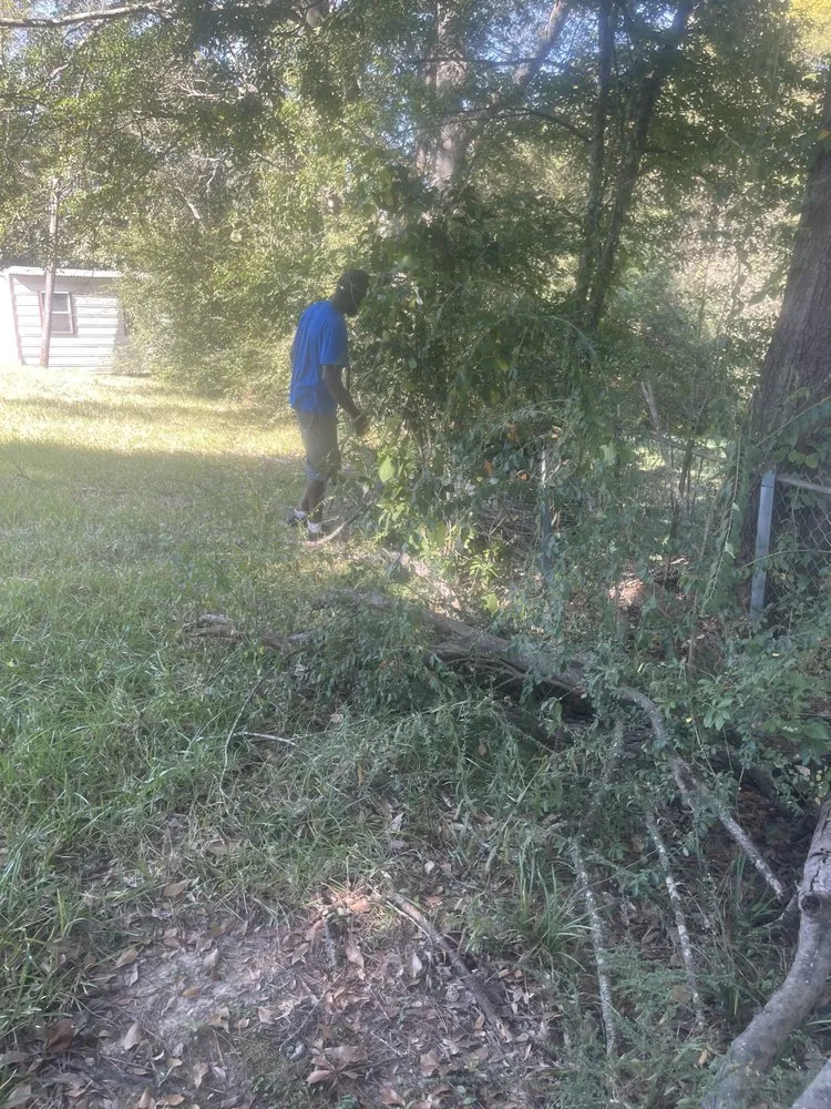 Expert landscape installation for homes in Jackson, MS by Da Grass king