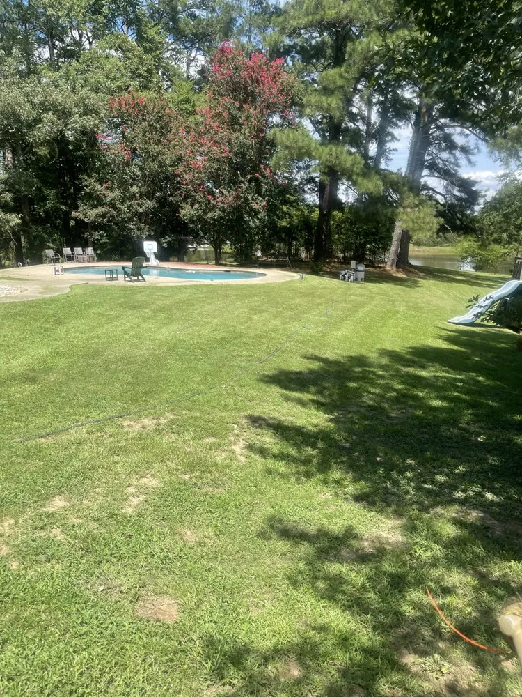 Affordable yard cleanup service experts serving Jackson, MS - Da Grass king