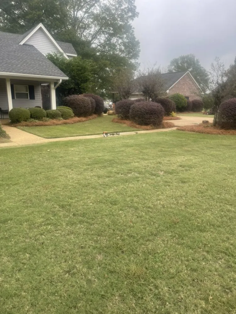 Local landscape design in Jackson, MS - Da Grass king