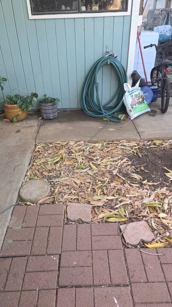 Local residential landscaping experts serving Wailea-Makena, HI - Da Handy Man