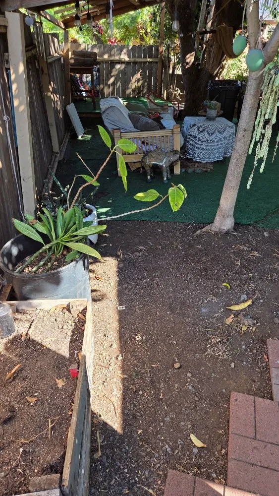 Reliable yard cleanup service for year-round maintenance across Wailea-Makena, HI - Da Handy Man