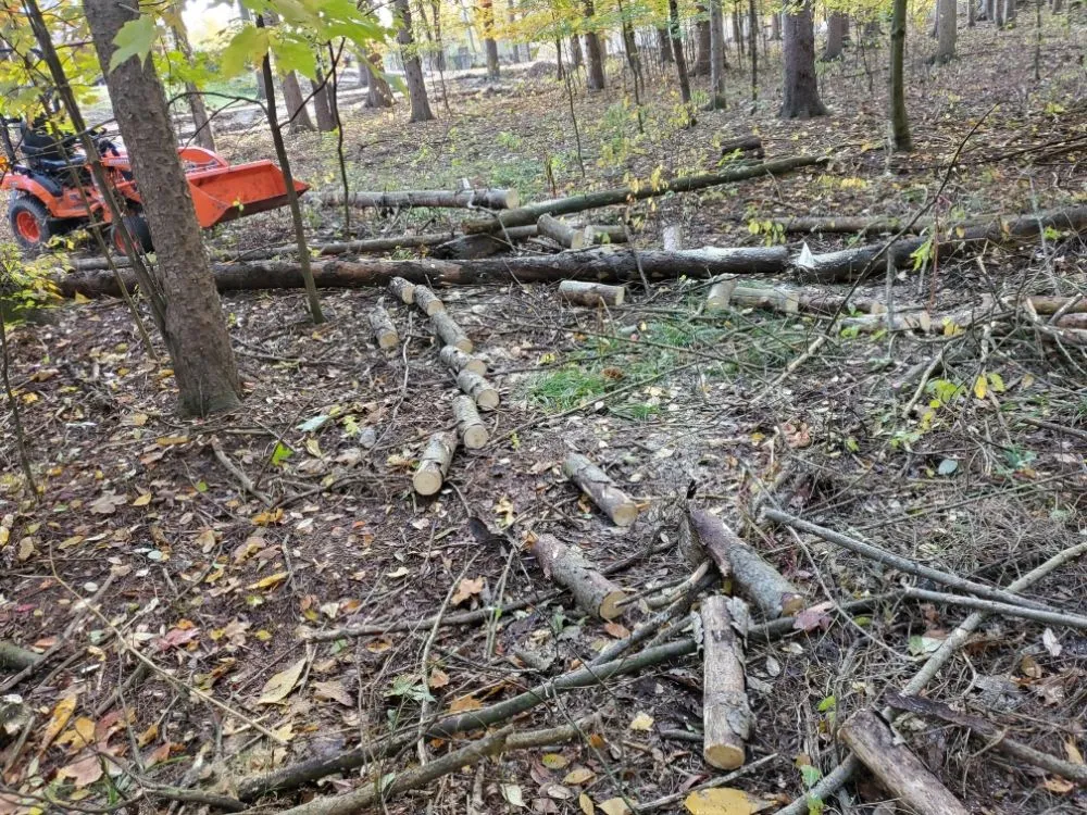 Expert landscape design experts serving Muskegon, MI - D&A Heart Scaped