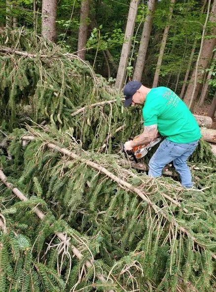 Professional landscaping services in Muskegon, MI by D&A Heart Scaped