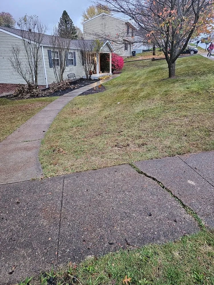 Local outdoor landscaping for outdoor upgrades across Midland, PA - D&A Land Solutions