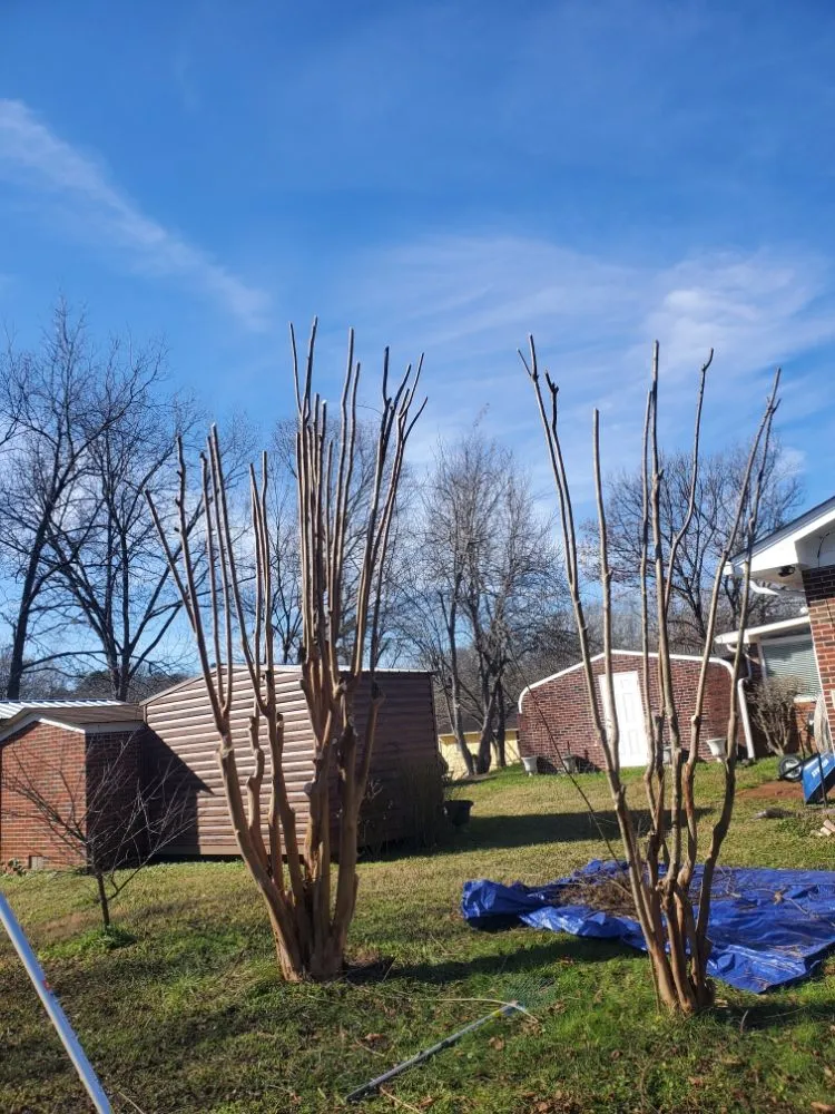 Local yard maintenance experts serving Newnan, GA - DA Landscaper Enhancer