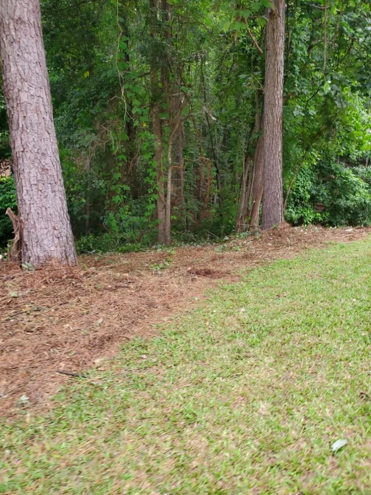 Reliable landscaping services in Newnan, GA by DA Landscaper Enhancer