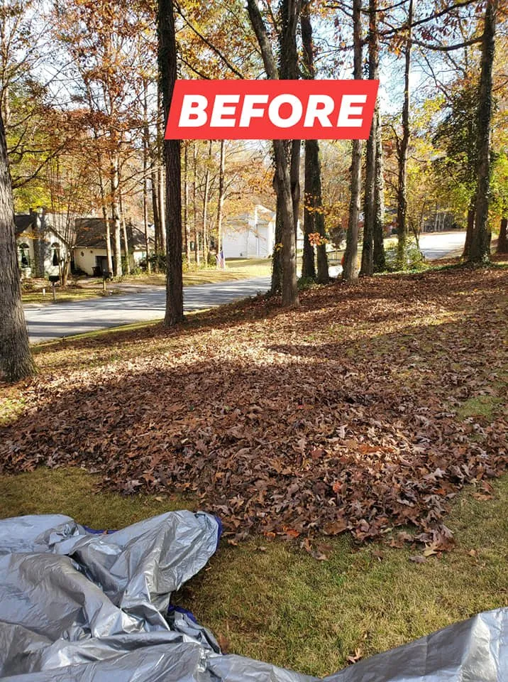 Trusted landscape installation for residential properties across Newnan, GA - DA Landscaper Enhancer