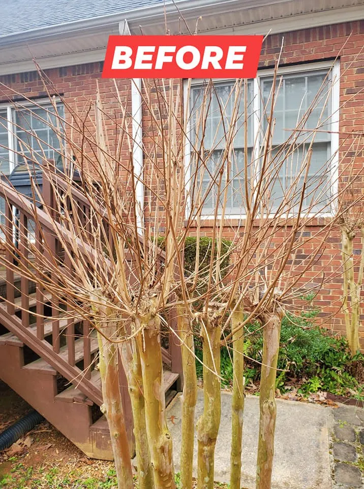 Expert landscape installation in Newnan, GA by DA Landscaper Enhancer