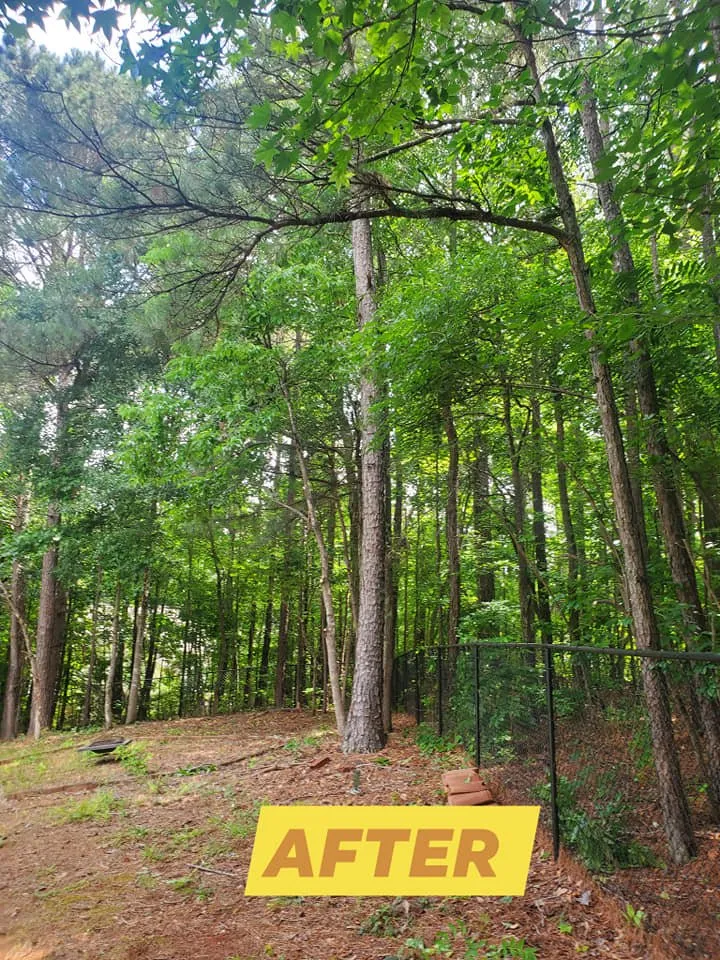 Custom lawn mowing service for homes in Newnan, GA by DA Landscaper Enhancer