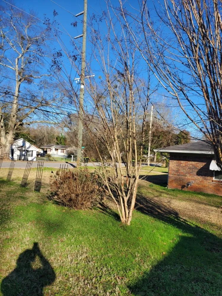 Top-rated garden landscaping in Newnan, GA - DA Landscaper Enhancer