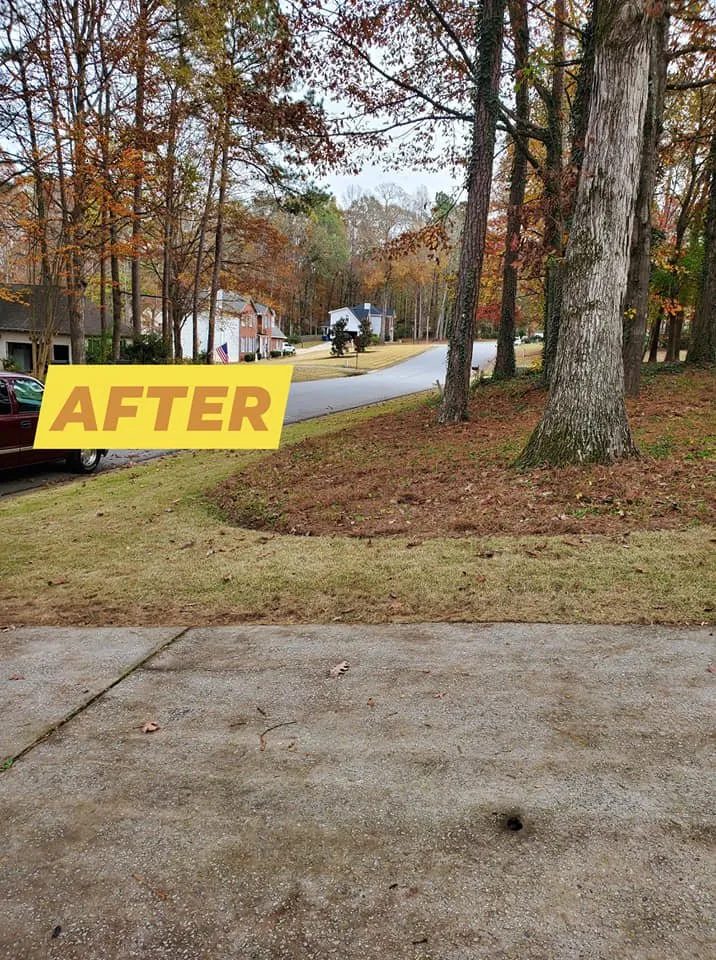 Reliable yard maintenance experts serving Newnan, GA - DA Landscaper Enhancer