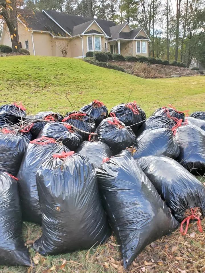 Affordable landscape design for outdoor upgrades across Newnan, GA - DA Landscaper Enhancer