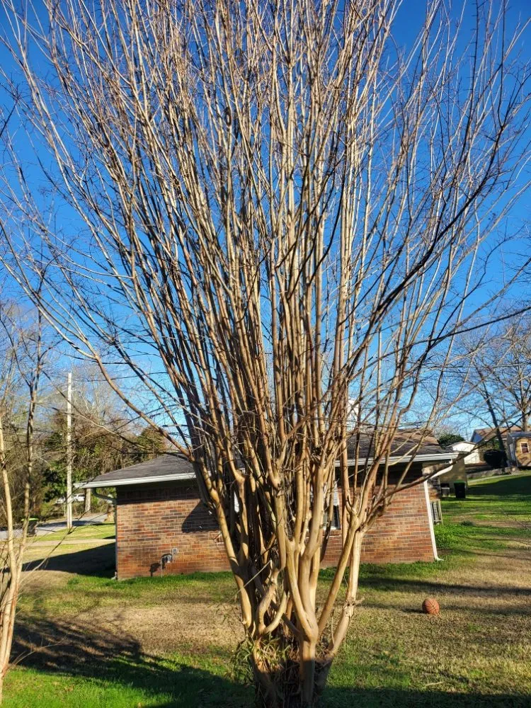 Trusted landscaping services experts serving Newnan, GA - DA Landscaper Enhancer