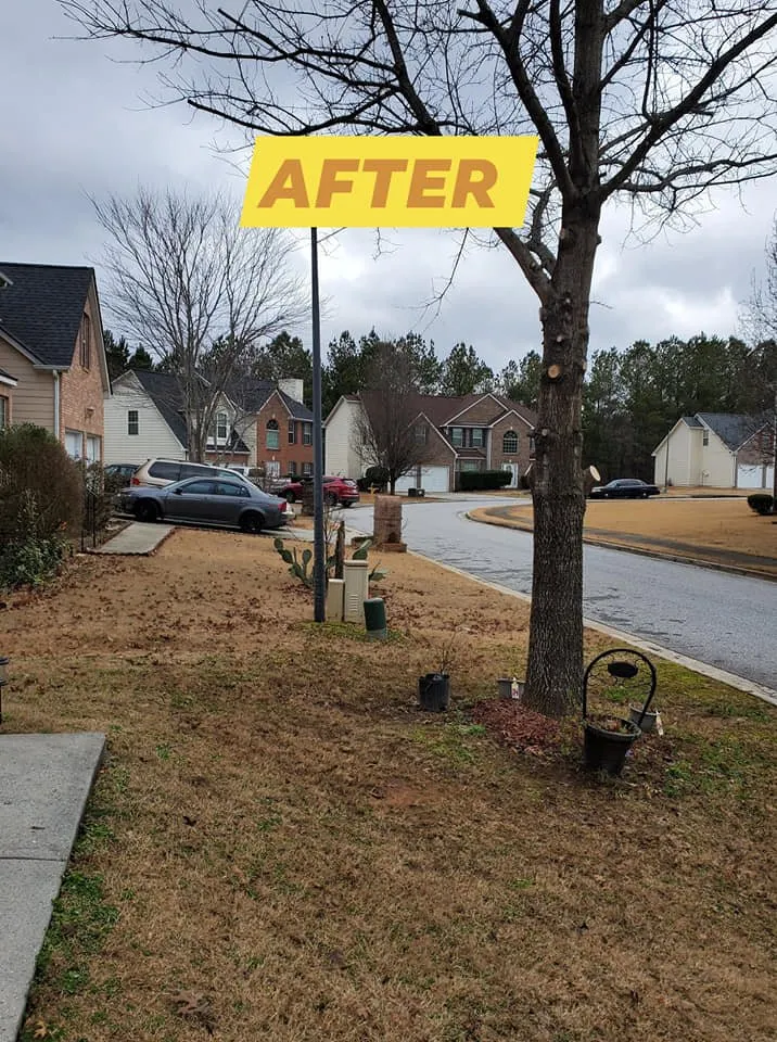 Local garden landscaping for outdoor upgrades across Newnan, GA - DA Landscaper Enhancer