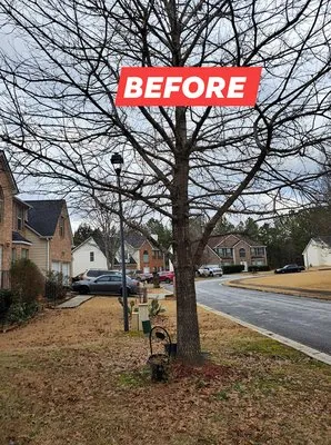 DA Landscaper Enhancer Logo