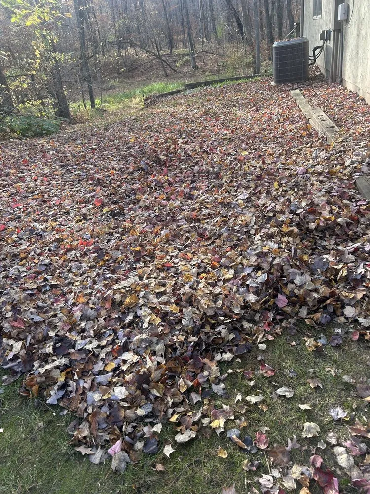 Professional landscaping services in Forest Lake, MN by DA Landscaping