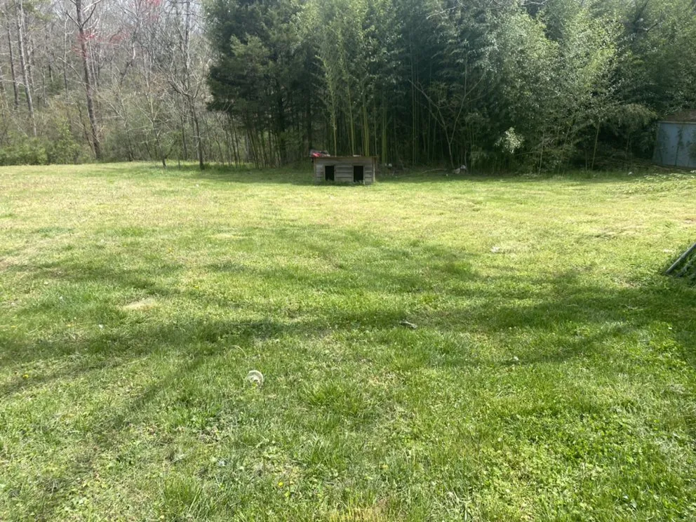 Trusted yard cleanup service experts serving Hickory, NC - D&A Landscaping