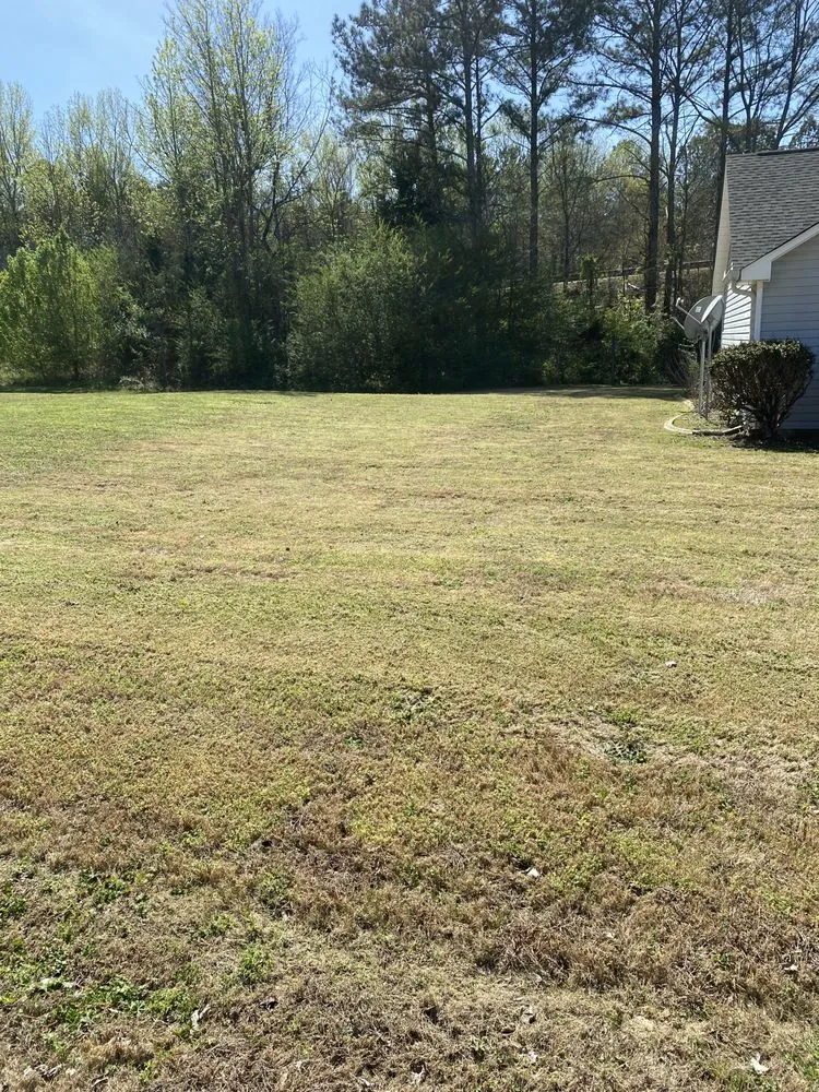 Local yard cleanup service experts serving Rockmart, GA - D&A Landscaping