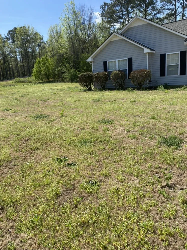 Expert yard maintenance in Rockmart, GA - D&A Landscaping