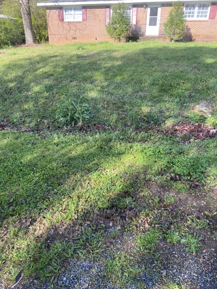 Trusted landscape design in Rockmart, GA by D&A Landscaping