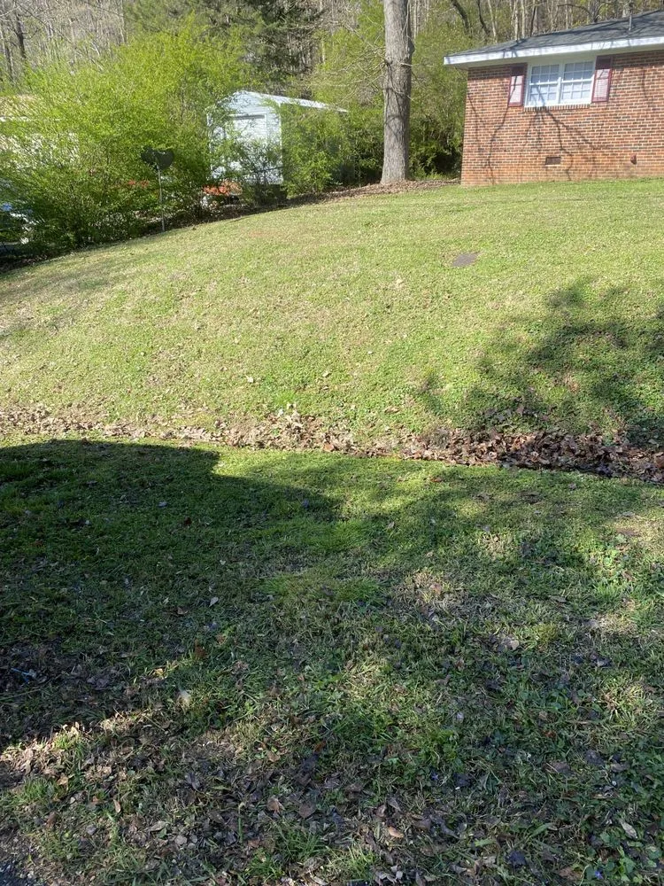 Professional residential landscaping experts serving Rockmart, GA - D&A Landscaping