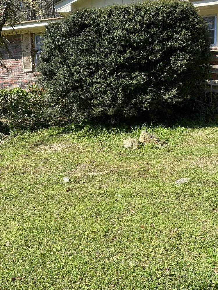 Affordable yard maintenance in Rockmart, GA - D&A Landscaping