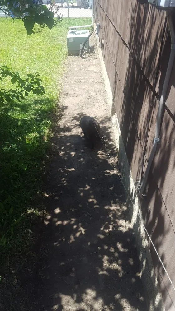 Professional lawn care service in Williamsville, NY by D&A Landscaping