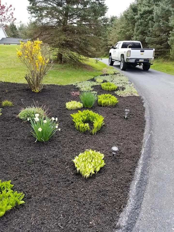 Top-rated yard maintenance in Bernville, PA - D&A Lawn & Landscape Service