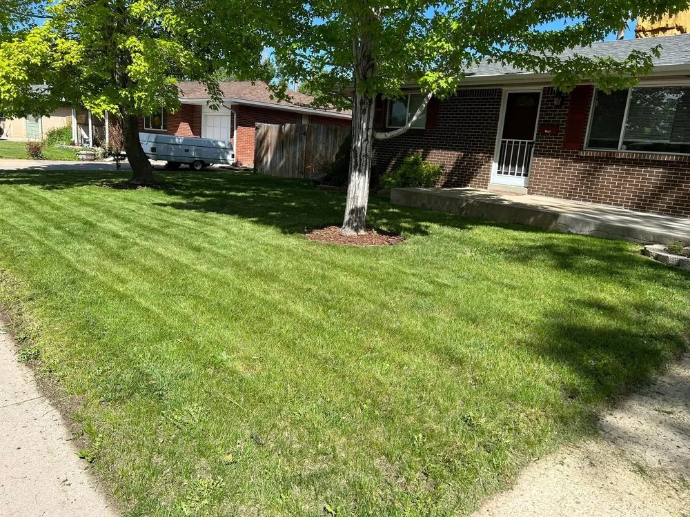 Professional landscaping services in Wheat Ridge, CO by D&A Lawn Care Services