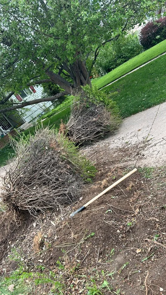 Trusted landscaping services in Wheat Ridge, CO by D&A Lawn Care Services