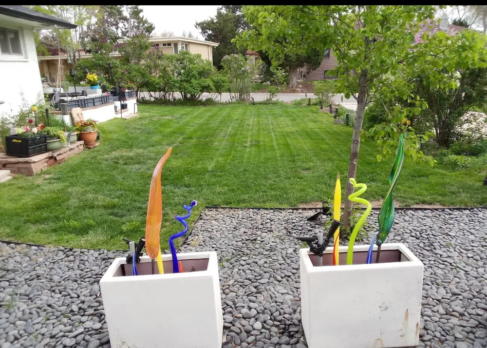 Professional yard cleanup service experts serving Wheat Ridge, CO - D&A Lawn Care Services