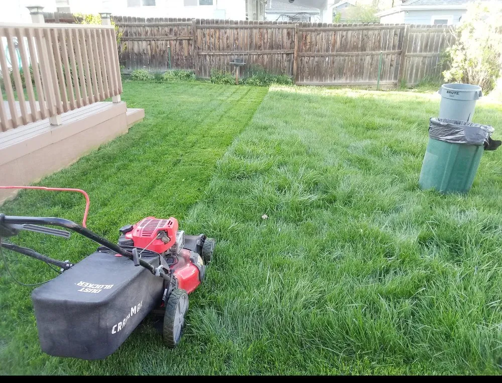 Expert lawn mowing service near you across Wheat Ridge, CO - D&A Lawn Care Services
