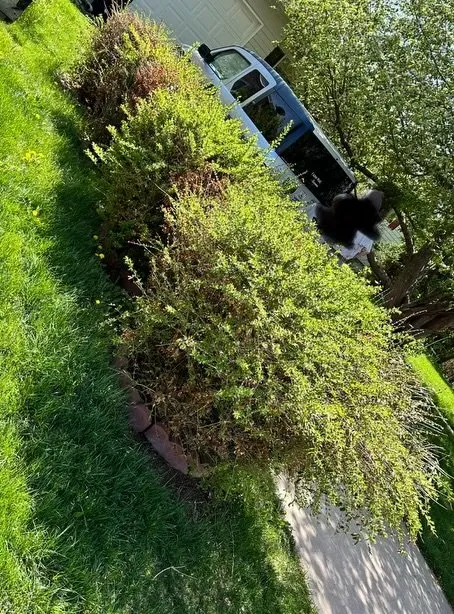 Local landscape design in Wheat Ridge, CO - D&A Lawn Care Services